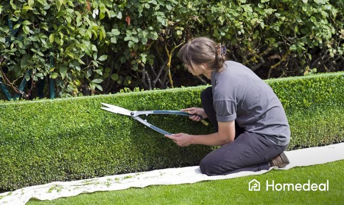 Tuin specialist bezig met tuinonderhoud