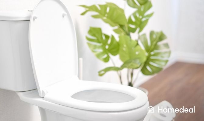 Toilet met plant ernaast